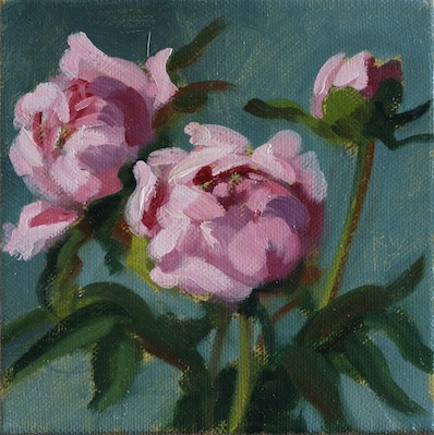 Peonies; oil on canvas, 25 x 25 cm, 2013
