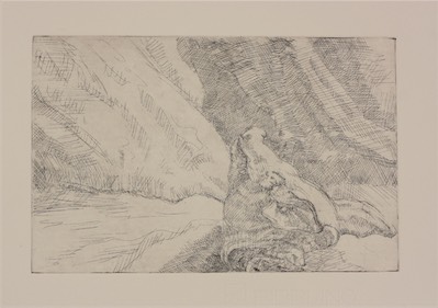 Pig Head; etching, 16 x 25 cm, 2011